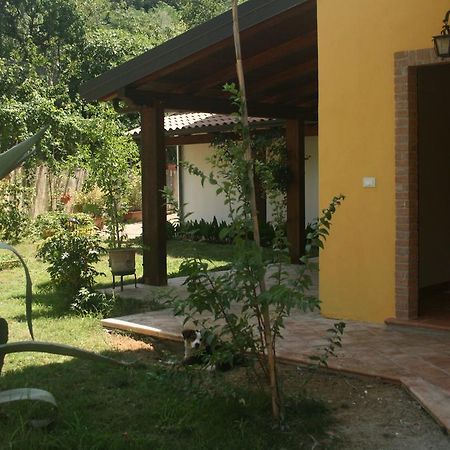 B&B Del Castagneto San Marco Argentano Екстериор снимка